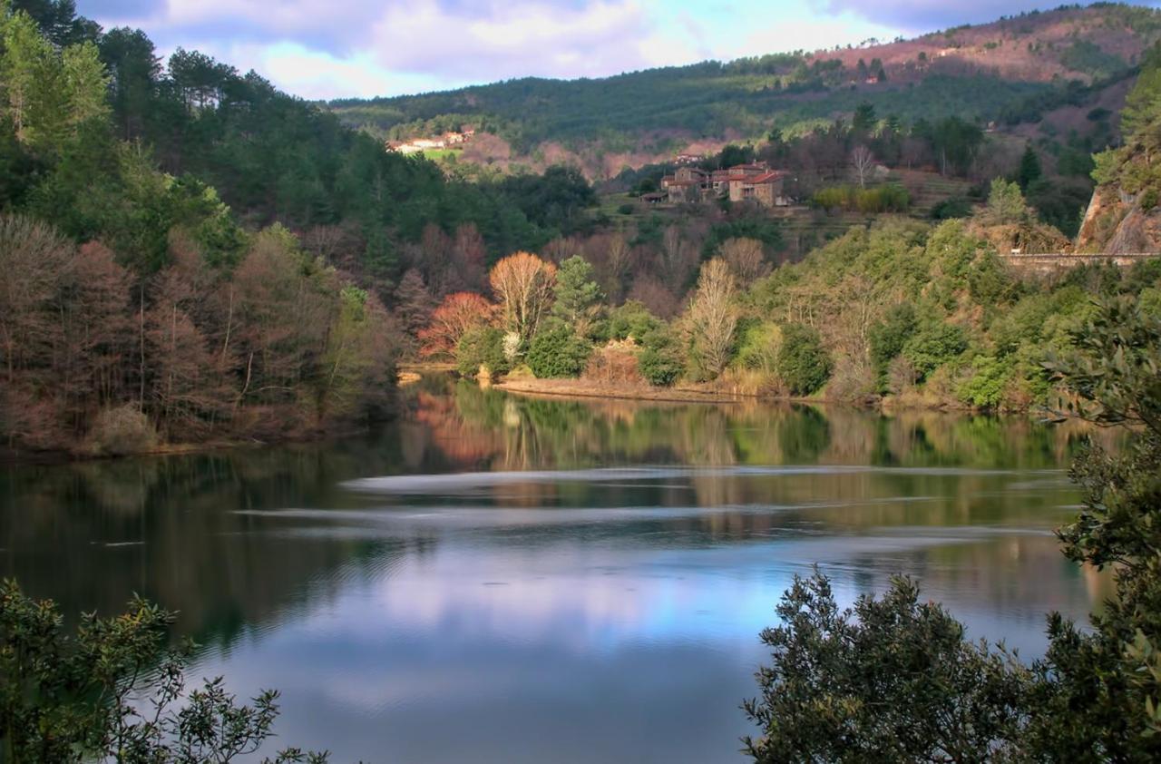T2 entièrement équipé et refait à neuf à 10mn Alès La Grand'Combe Exterior foto